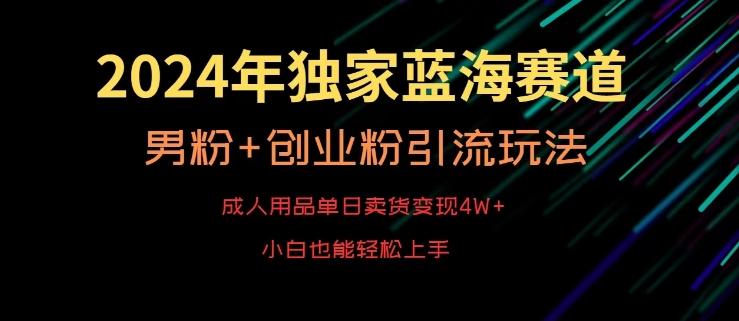 2024年独家蓝海赛道，成人用品单日卖货变现4W+，男粉+创业粉引流玩法，不愁搞不到流量【揭秘】-星河轻创