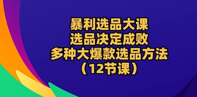 暴利 选品大课：选品决定成败，教你多种大爆款选品方法(12节课-星河轻创