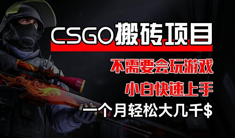 CSGO 装备搬砖项目，操作简单，不需要会玩游戏，小白也能快速上手，一个月轻松大几千【揭秘】-星河轻创