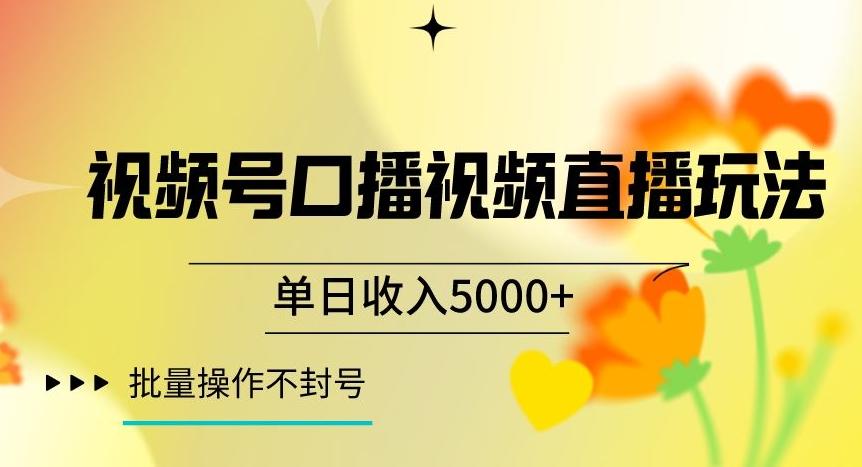 视频号囗播视频直播玩法，单日收入5000+，批量操作不封号【揭秘】-星河轻创