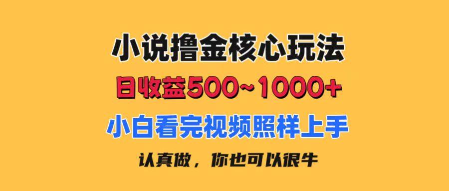 小说撸金核心玩法，日收益500-1000+，小白看完照样上手，0成本有手就行-星河轻创
