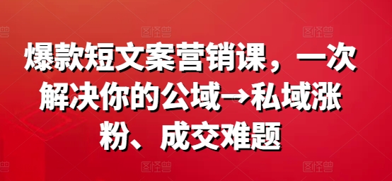 爆款短文案营销课，一次解决你的公域→私域涨粉、成交难题-星河轻创