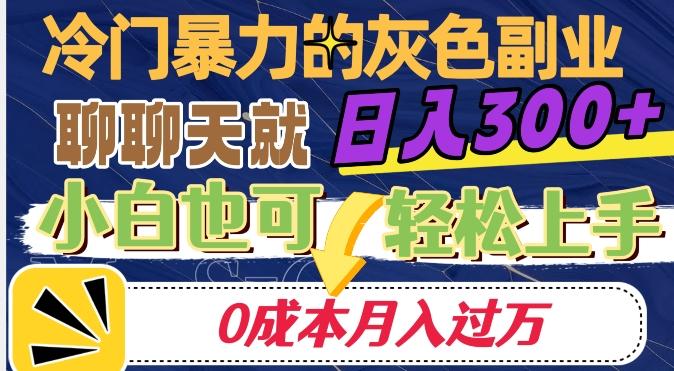 冷门暴利的副业项目，聊聊天就能日入300+，0成本月入过万【揭秘】-星河轻创