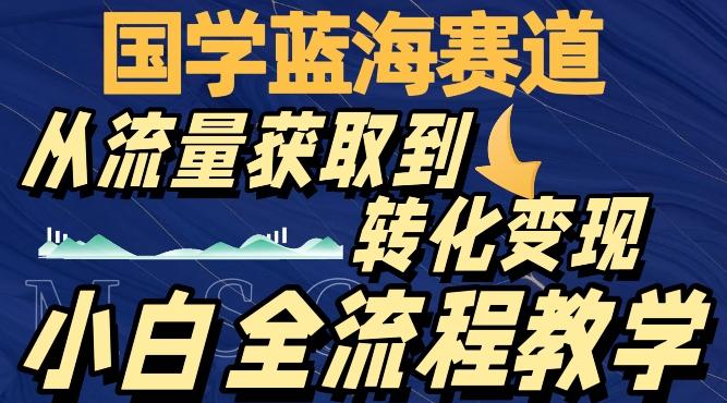 国学蓝海赛道，从流量获取，到转化变现，全流程教学-星河轻创