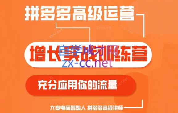 大麦老师·拼多多单品爆款打造课程(更新6月)-星河轻创