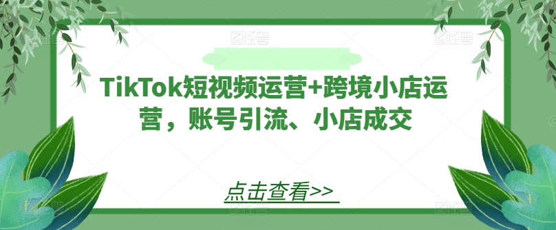 TikTok短视频运营+跨境小店运营，账号引流、小店成交-星河轻创