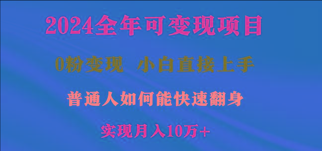 2024全年可变现项目，一天收益至少2000+，小白上手快，普通人就要利用互…-星河轻创