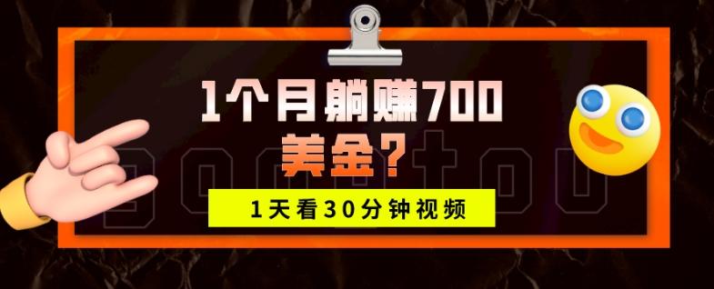 1天看30分钟视频，1个月躺赚700美金？-星河轻创