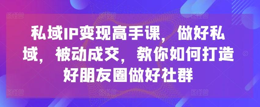 私域IP变现高手课，做好私域，被动成交，教你如何打造好朋友圈做好社群-星河轻创