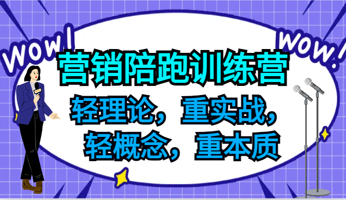 营销陪跑训练营，轻理论，重实战，轻概念，重本质，适合中小企业和初创企业的老板-星河轻创