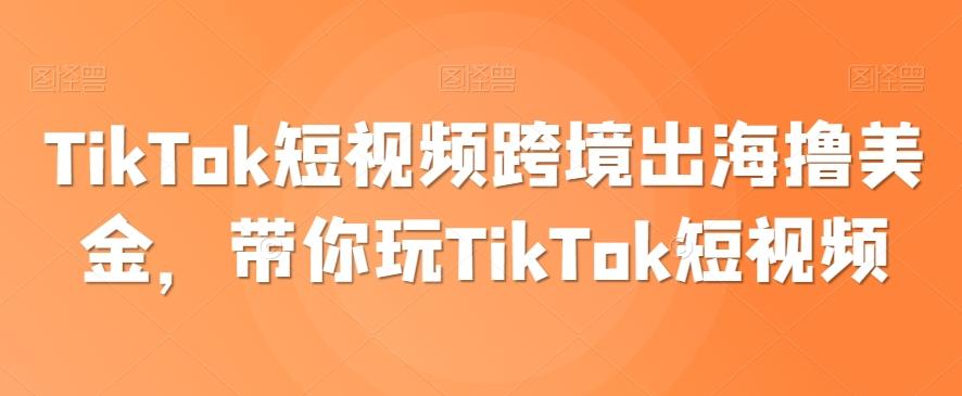 TikTok短视频跨境出海撸美金，带你玩TikTok短视频-星河轻创