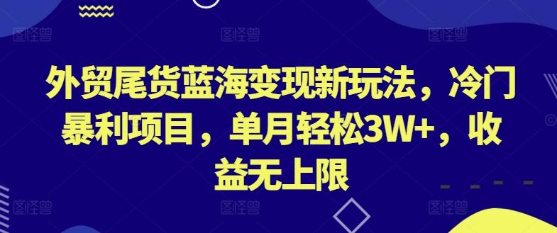 外贸尾货蓝海变现新玩法，冷门暴利项目，单月轻松3W+，收益无上限【揭秘】-星河轻创
