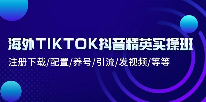 海外TIKTOK抖音精英实操班：注册下载/配置/养号/引流/发视频/等等-星河轻创