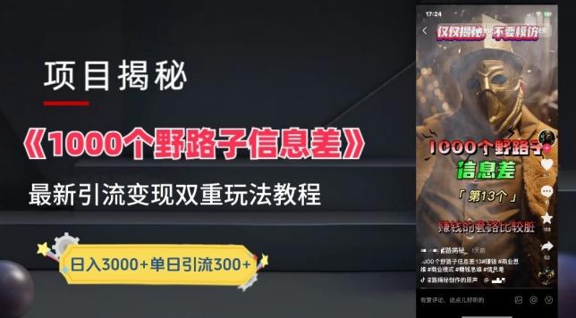 一千个野路子信息差最新玩法教程-变现+引流的玩法具体拆解【揭秘】-星河轻创