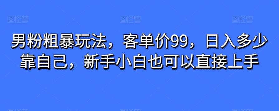 男粉粗暴玩法，客单价99，日入多少靠自己，新手小白也可以直接上手-星河轻创