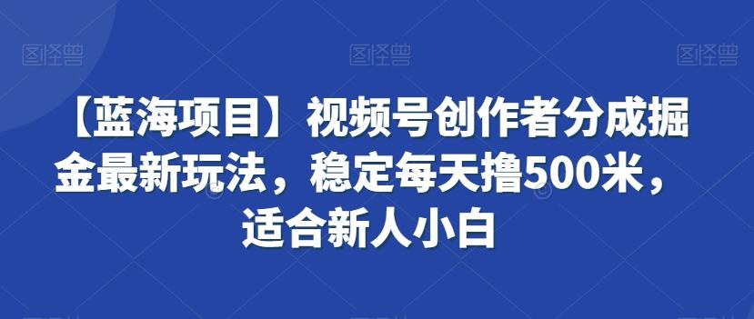 【蓝海项目】视频号创作者分成掘金最新玩法，稳定每天撸500米，适合新人小白【揭秘】-星河轻创