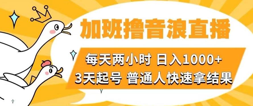 加班撸音浪直播，每天两小时，日入1000+，直播话术才3句，3天起号，普通人快速拿结果【揭秘】-星河轻创