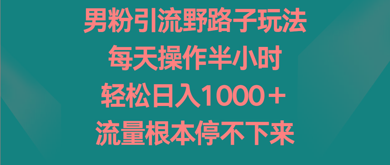 男粉引流野路子玩法，每天操作半小时轻松日入1000＋，流量根本停不下来-星河轻创