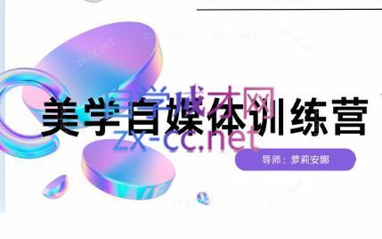 安娜·美学自媒体IP系统课-星河轻创