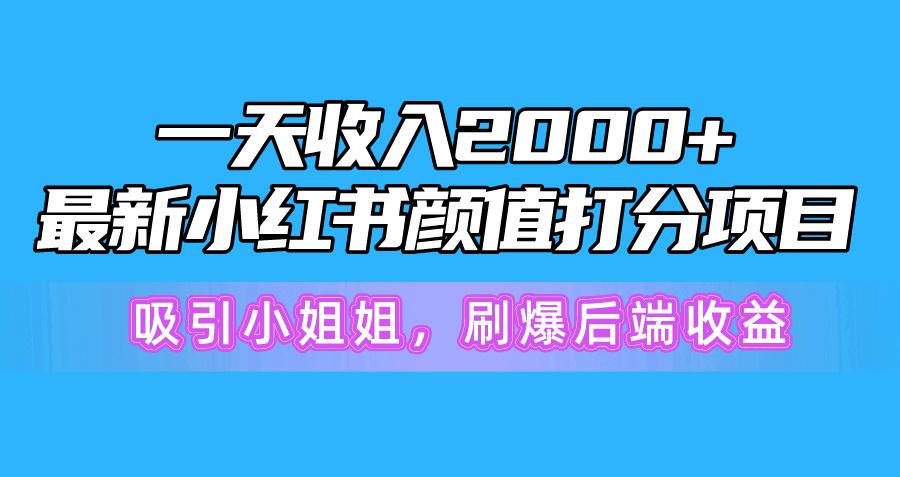 一天收入2000+，最新小红书颜值打分项目，吸引小姐姐，刷爆后端收益-星河轻创