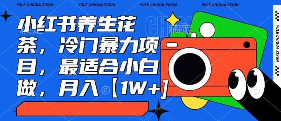 小红书养生花茶，冷门暴力项目，最适合小白做，月入【1W+】-星河轻创