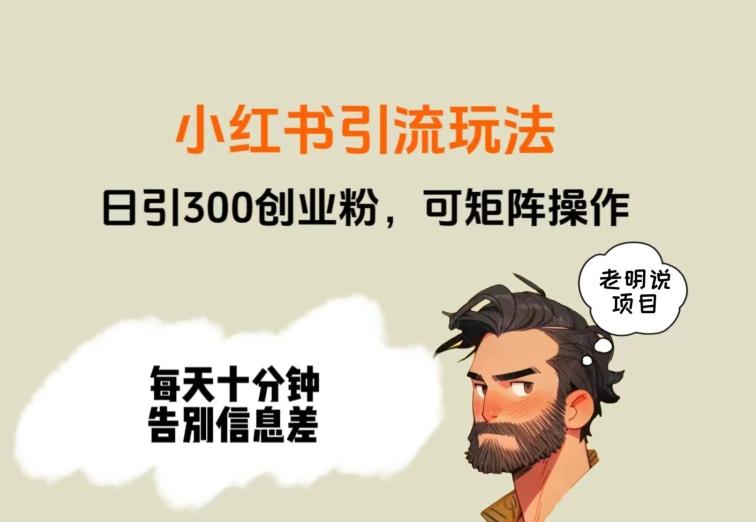 靠小红书视频日印300粉，两分钟一个视频轻松矩阵-星河轻创