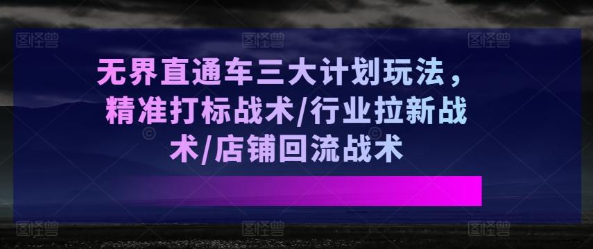 无界直通车三大计划玩法，精准打标战术/行业拉新战术/店铺回流战术-星河轻创