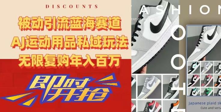 被动引流蓝海赛道，AJ运动用品私域玩法，无限复购年入百万【揭秘】-星河轻创