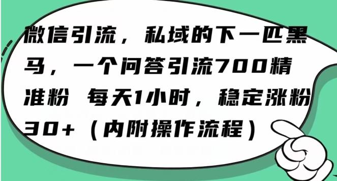 怎么搞精准创业粉？微信新赛道，每天一小时，利用Ai一个问答日引100精准粉-星河轻创