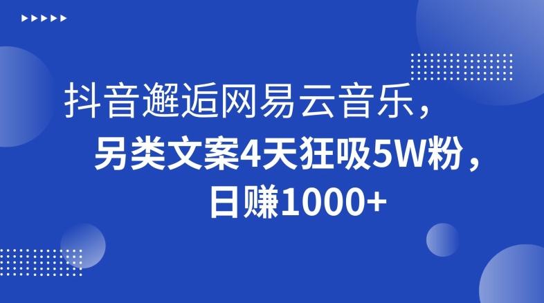 抖音邂逅网易云音乐，另类文案4天狂吸5W粉，日赚1000+【揭秘】-星河轻创