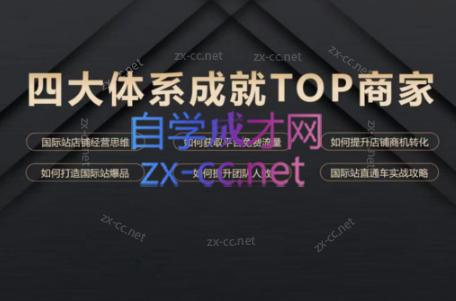 华曜·阿里巴巴国际站认知及直通车实操课程-星河轻创