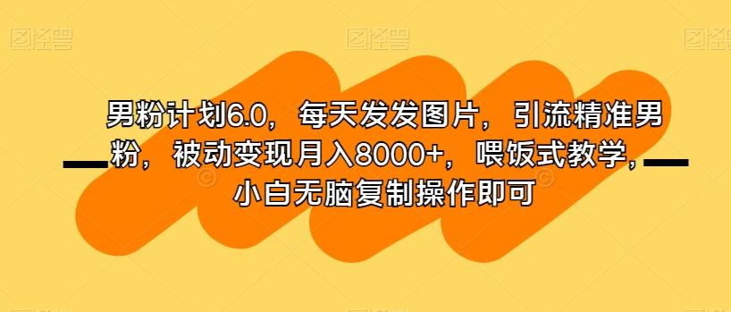 男粉计划6.0，每天发发图片，引流精准男粉，被动变现月入8000+，喂饭式教学，小白无脑复制操作即可-星河轻创