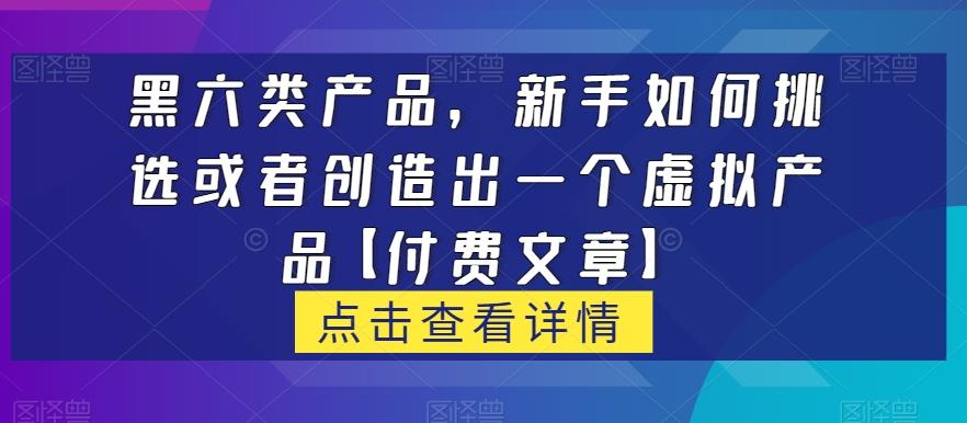 黑六类虚拟产品，新手如何挑选或者创造出一个虚拟产品【付费文章】-星河轻创