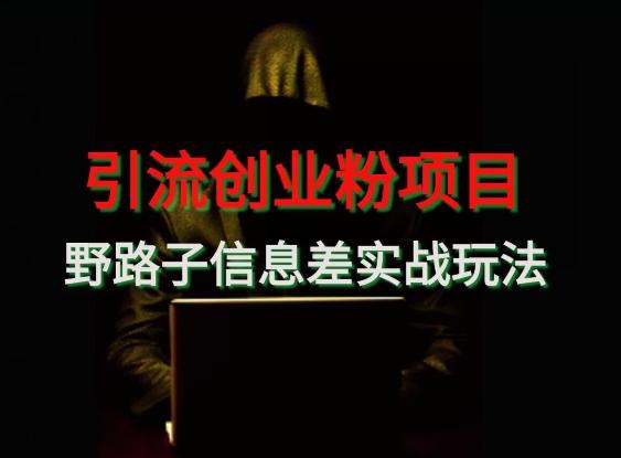 【引流创业粉】野路子信息差玩法实战教学-星河轻创