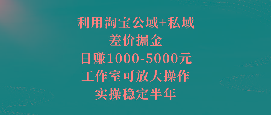 利用淘宝公域+私域差价掘金，日赚1000-5000元，工作室可放大操作，实操...-星河轻创