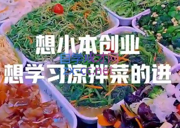 李记·精品凉拌菜系列热卤系列教程-星河轻创