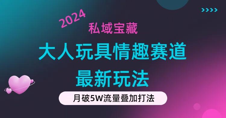 私域宝藏：大人玩具情趣赛道合规新玩法，零投入，私域超高流量成单率高-星河轻创