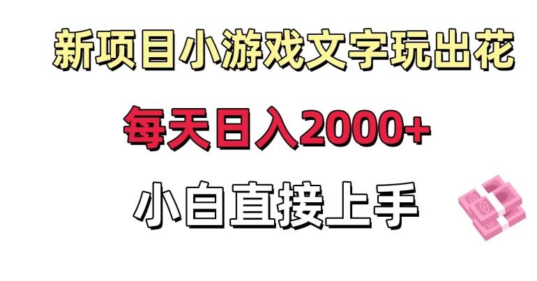 新项目小游戏文字玩出花日入2000+，每天只需一小时，小白直接上手【揭秘】-星河轻创