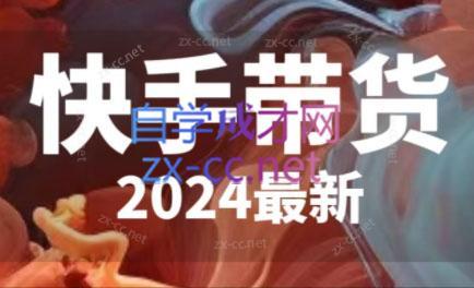 快手带货(2024最新)-星河轻创