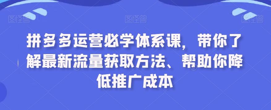 拼多多运营必学体系课，带你了解最新流量获取方法、帮助你降低推广成本-星河轻创