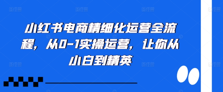 小红书电商精细化运营全流程，从0-1实操运营，让你从小白到精英-星河轻创
