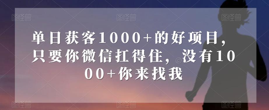 单日获客1000+的好项目，只要你微信扛得住，没有1000+你来找我【揭秘】-星河轻创
