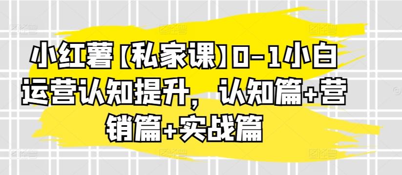 小红薯【私家课】0-1小白运营认知提升，认知篇+营销篇+实战篇-星河轻创