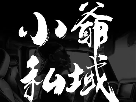 小爷·私域项目操盘手-星河轻创