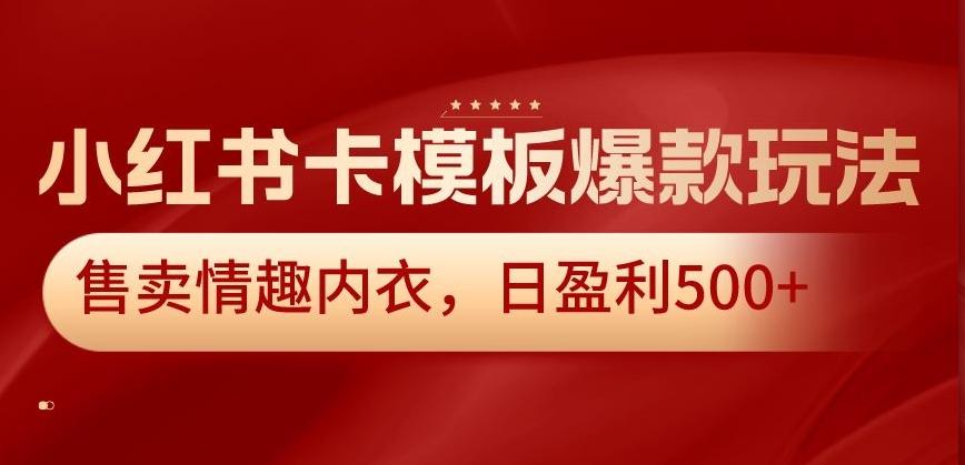 小红书卡模板爆款玩法，售卖情趣内衣，日盈利500+【揭秘】-星河轻创