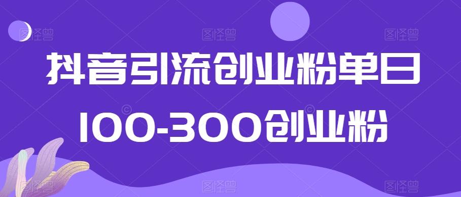 抖音引流创业粉单日100-300创业粉【揭秘】-星河轻创