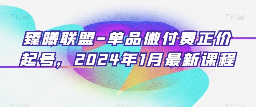 臻曦联盟-单品微付费正价起号，2024年1月最新课程-星河轻创