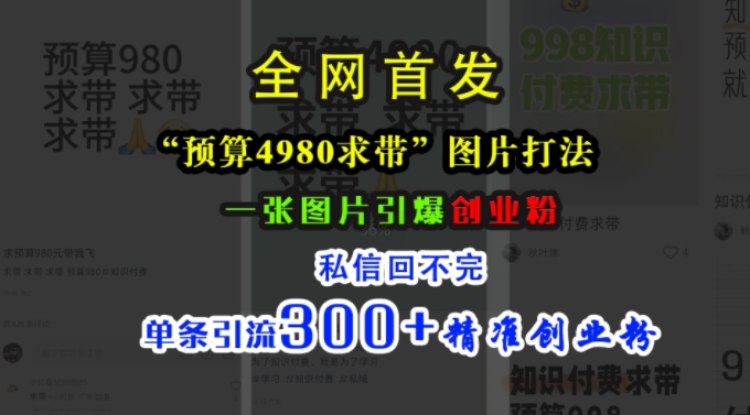 小红书“预算4980带我飞”图片打法，一张图片引爆创业粉，私信回不完，单条引流300+精准创业粉-星河轻创
