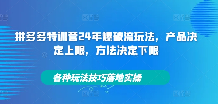 拼多多特训营24年爆破流玩法，产品决定上限，方法决定下限，各种玩法技巧落地实操-星河轻创
