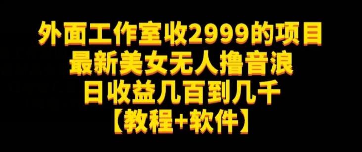 外面工作室收2999的项目最新美女无人撸音浪日收益几百到几千【教程+软件】（仅揭秘）-星河轻创